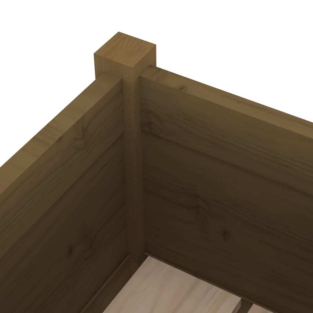 Mafett Solid Pinewood Garden Planter | Honey Brown Finish (31x31x70 cm) for Elegant Outdoor Decor